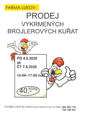 kuřata